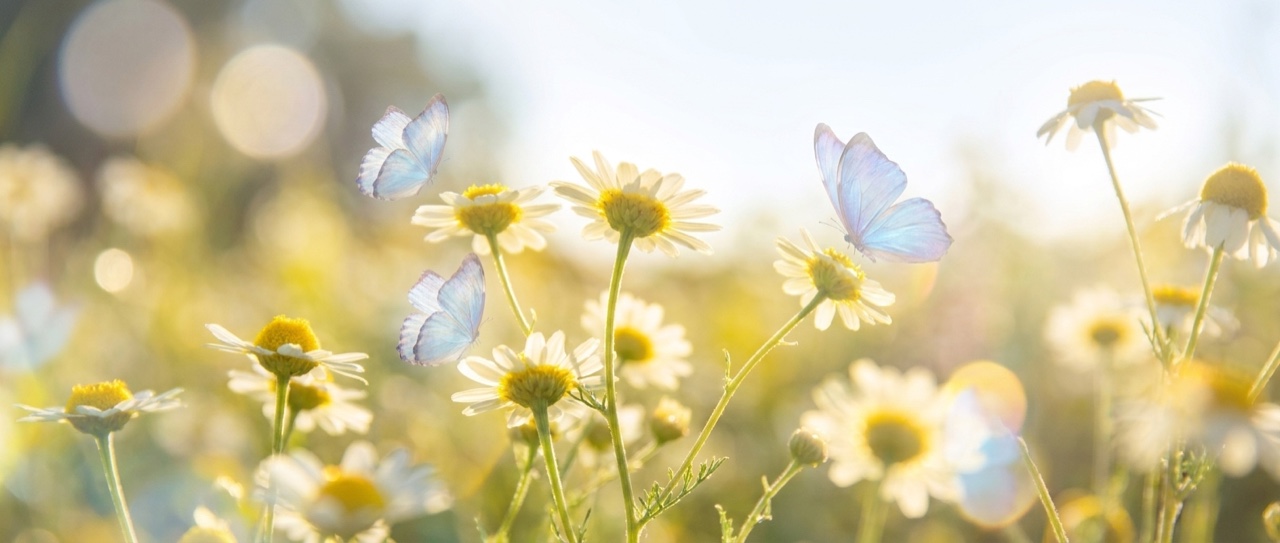 Nano Banana Pro AI-generated flowers and butterflies